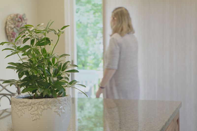 Video - Energy Saving Tip 3. Image is a photograph of a woman facing away from the camera and looking out a sliding glass door. The woman is out of focus and closer to the camera is a plant on a counter top in focus.